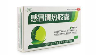 清熱類中成藥的中醫(yī)辨證應(yīng)用指南